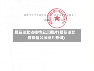 最新湖北省疫情公示图片(最新湖北省疫情公示图片查询)
