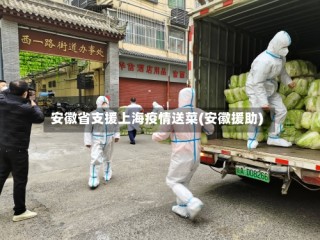安徽省支援上海疫情送菜(安徽援助)