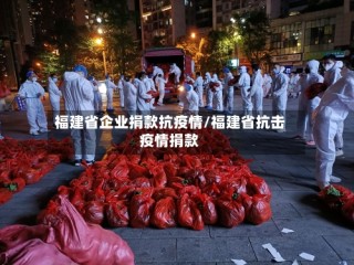 福建省企业捐款抗疫情/福建省抗击疫情捐款