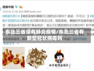 东北三省没有肺炎疫情/东北三省有新型冠状病毒吗