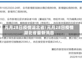 元月28日疫情湖北省/元月28日疫情湖北省最新消息