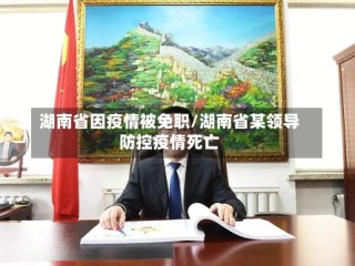 湖南省因疫情被免职/湖南省某领导防控疫情死亡