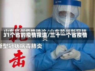 31个省的疫情报道/三十一个省疫情