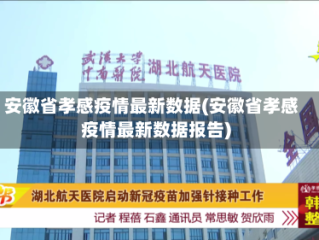 安徽省孝感疫情最新数据(安徽省孝感疫情最新数据报告)
