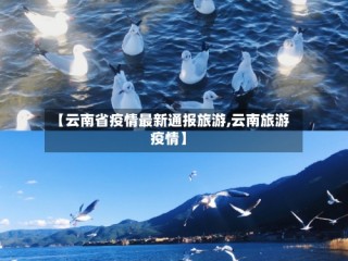 【云南省疫情最新通报旅游,云南旅游 疫情】
