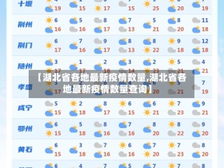 【湖北省各地最新疫情数量,湖北省各地最新疫情数量查询】