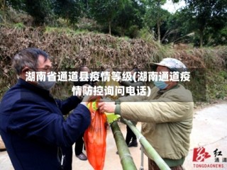 湖南省通道县疫情等级(湖南通道疫情防控询问电话)
