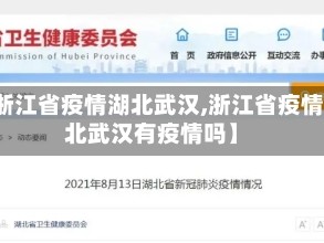 【浙江省疫情湖北武汉,浙江省疫情湖北武汉有疫情吗】