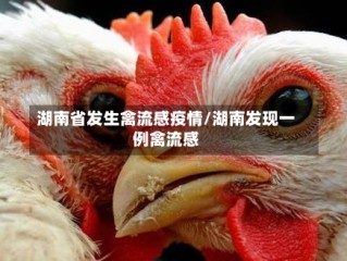 湖南省发生禽流感疫情/湖南发现一例禽流感