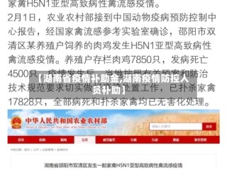【湖南省疫情补助金,湖南疫情防控人员补助】