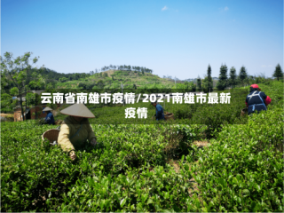 云南省南雄市疫情/2021南雄市最新疫情