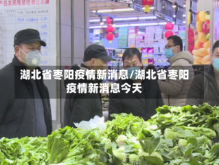 湖北省枣阳疫情新消息/湖北省枣阳疫情新消息今天
