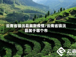 云南省镇沅县最新疫情/云南省镇沅县属于哪个市