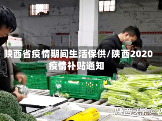 陕西省疫情期间生活保供/陕西2020疫情补贴通知