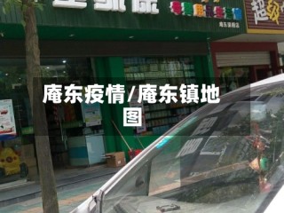 庵东疫情/庵东镇地图