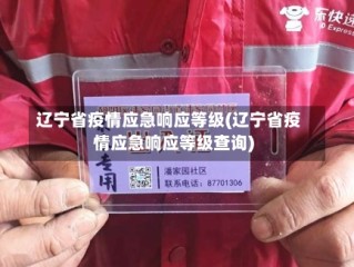 辽宁省疫情应急响应等级(辽宁省疫情应急响应等级查询)