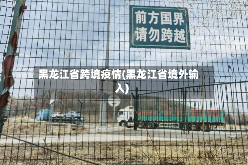 黑龙江省跨境疫情(黑龙江省境外输入)