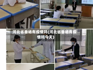 河北省垂杨有疫情吗(河北省垂杨有疫情吗今天)