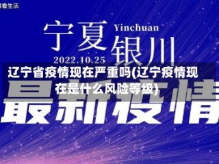 辽宁省疫情现在严重吗(辽宁疫情现在是什么风险等级)