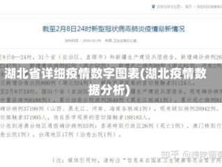 湖北省详细疫情数字图表(湖北疫情数据分析)