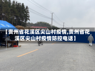 【贵州省花溪区尖山村疫情,贵州省花溪区尖山村疫情防控电话】