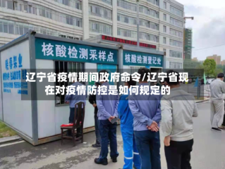 辽宁省疫情期间政府命令/辽宁省现在对疫情防控是如何规定的