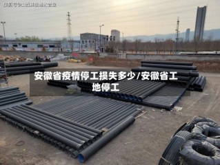 安徽省疫情停工损失多少/安徽省工地停工