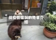 战疫情猫叫的简单介绍