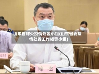 山东省肺炎疫情处置小组(山东省委疫情处置工作领导小组)