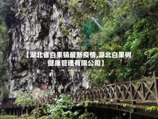 【湖北省白果镇最新疫情,湖北白果树健康管理有限公司】