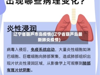 辽宁省葫芦市岛疫情(辽宁省葫芦岛最新肺炎疫情)