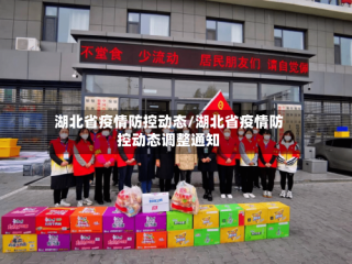 湖北省疫情防控动态/湖北省疫情防控动态调整通知