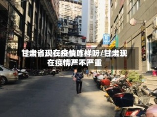 甘肃省现在疫情咋样呀/甘肃现在疫情严不严重