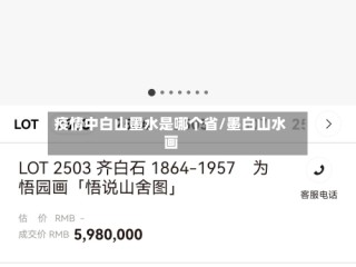 疫情中白山墨水是哪个省/墨白山水画