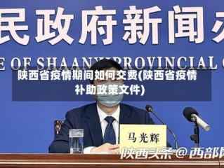 陕西省疫情期间如何交费(陕西省疫情补助政策文件)