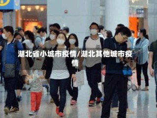 湖北省小城市疫情/湖北其他城市疫情