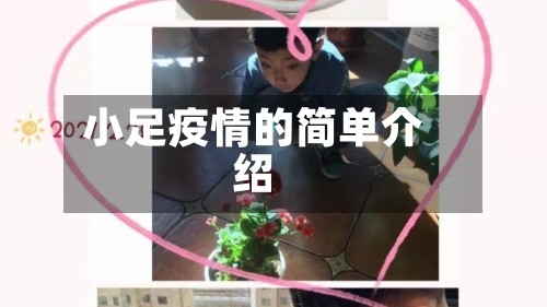 小足疫情的简单介绍