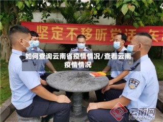 如何查询云南省疫情情况/查看云南疫情情况