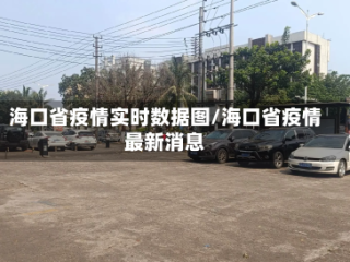 海口省疫情实时数据图/海口省疫情最新消息