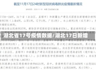 湖北省17号疫情数据/湖北17日新增