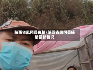 陕西省凤冈县疫情/陕西省凤冈县疫情最新情况
