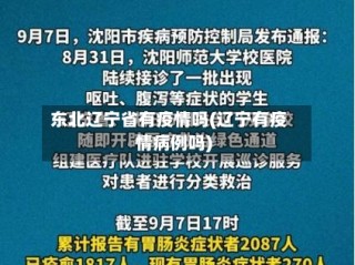 东北辽宁省有疫情吗(辽宁有疫情病例吗)