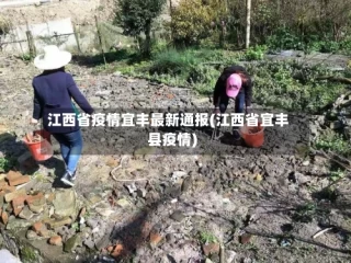 江西省疫情宜丰最新通报(江西省宜丰县疫情)