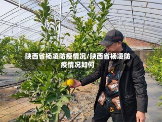 陕西省杨凌防疫情况/陕西省杨凌防疫情况如何