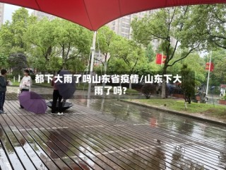都下大雨了吗山东省疫情/山东下大雨了吗?