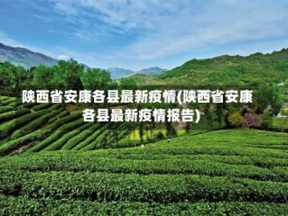 陕西省安康各县最新疫情(陕西省安康各县最新疫情报告)