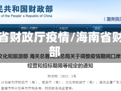 海南省财政厅疫情/海南省财政部