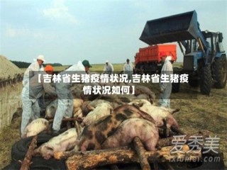 【吉林省生猪疫情状况,吉林省生猪疫情状况如何】