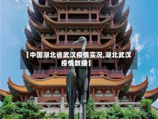 【中国湖北省武汉疫情实况,湖北武汉疫情数据】