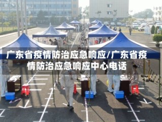 广东省疫情防治应急响应/广东省疫情防治应急响应中心电话